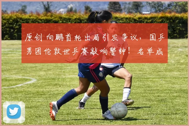 原创 向鹏首轮出局引发争议，国乒男团伦敦世乒赛敲响警钟！名单成定局！