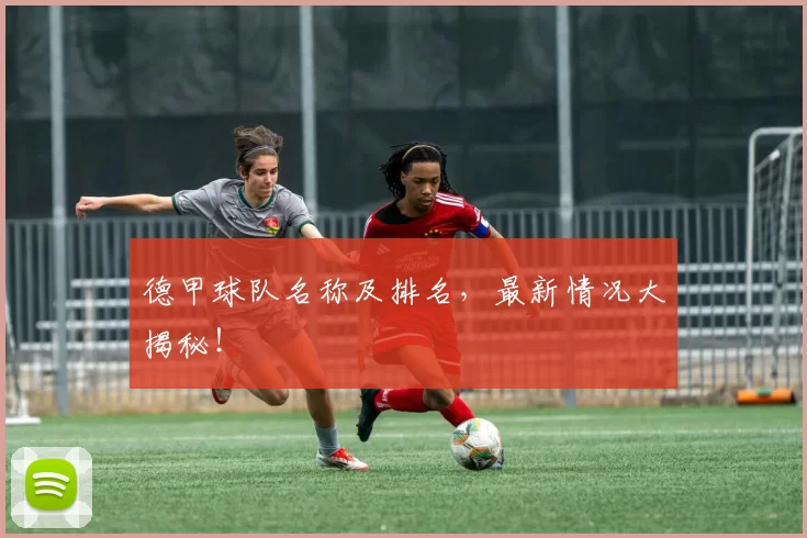 德甲球队名称及排名,最新情况大揭秘!