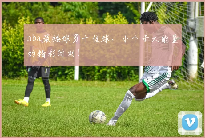 nba最矮球员十佳球，小个子大能量的精彩时刻！