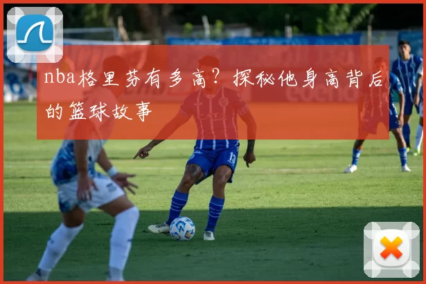 nba格里芬有多高?探秘他身高背后的篮球故事
